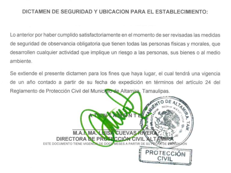 dictamen de seguridad